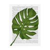 Trademark Fine Art Fab Funky 'Monstera Leaf 1, Green On White' Canvas Art, 18x24 WAG12650-C1824GG